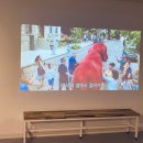 모아 dog 이미지