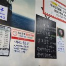 동강회참치