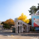 미래를 향한 도전과 성장을 이루다 - 서강대 MBA 83기 박종수 동문 이야기