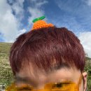 예주농장 | [제주도]03 : 행복했으면 됐지 뭐