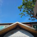 여주(강릉) | 강릉-양양-여주 당일치기 후기