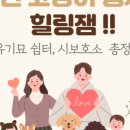 힐링페츠