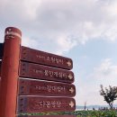 나린컴퍼니