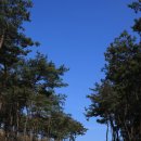 팔공산올레길 6코스 이미지