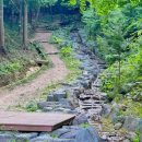 양을산산림욕장 네이버블로그