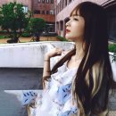 헤어341 이미지