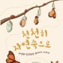 자연속으로 이미지