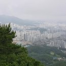 의왕초등학교 앞 이미지