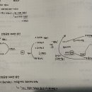 [Page388] 질권의 유치적 효력에 관해 질문 있습니다. 이미지