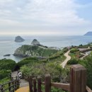 이기대큰고개약수터 | [부산 러닝 코스 추천] 이기대 순환도로 5.8km 첫 트레일러닝 도전! (상승고도 준비물 주차)