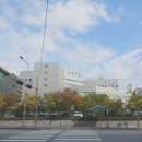 경찰병원.KT가락지사 이미지