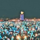 신기부화장 이미지