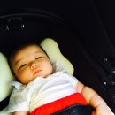 서유2호 이미지