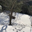 차항1리경로당 이미지