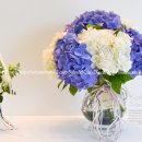 꽃꽃이 고급 이미지