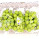 청풍명월 이미지