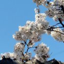 낙동강변12 이미지