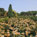 도당초등학교3 이미지