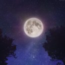 투더문