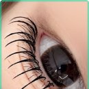 다인뷰티 이미지