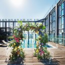 노보텔 앰배서더 서울 동대문 호텔 이미지