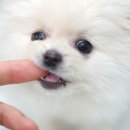 몽글몽글 이미지