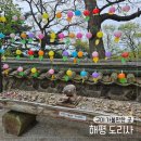 해평식당 | 구미 가볼만한곳 해평 도리사, 조용하게 힐링하기 좋은 곳