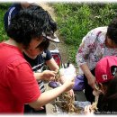 가루개로 이미지