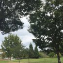 영등동-37 이미지