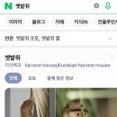 💜아라반 10월 4주(2)& 산당산성 숲 체험💜 이미지