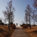 솔찬공원(주차장) 이미지