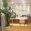 밝은햇살한의원 이미지