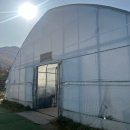 쌍둥이농장 | [강릉] 강릉 가볼만한곳 옥계 강릉쌍둥이동물농장 방문 후기