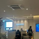 새로운세상 | 강남 ㅂㄹㄷ 안과 스마일라식 솔직후기 (feat. 새로운 세상..)