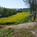 광시면동산리 버스정류장 이미지