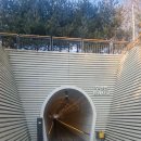 원평리 | 수원 칠보산 산행과 권선구청맛집 오늘도마순대국 방문 후기