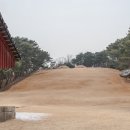 헌인릉 티스토리