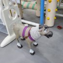 카페34