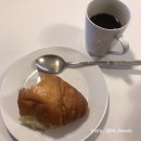 12 to 14 Jun. 2019, p a r t y ! /island gelato company/kaya/뉴질랜드 비자만들기/lush/hype/한국화장품