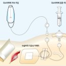 마미캐티 이미지