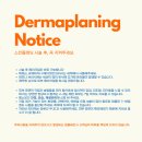 래시베이 이미지