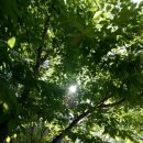 JS FITNESS 이미지