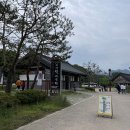 탈빙고
