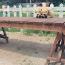 흙내음 글램핑