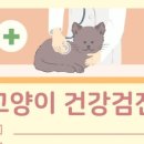 정든동물병원 이미지