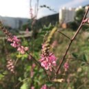 문동마을회관 이미지