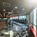 브이 피트니스 이미지