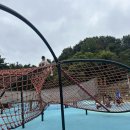 행복근린공원 | 🦕 광양 성황근린공원 방문 후기: 공룡놀이터와 짚라인의 완벽한 만남