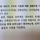 조면활면소포체 알려주세요 이미지