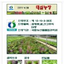 대실농장 이미지